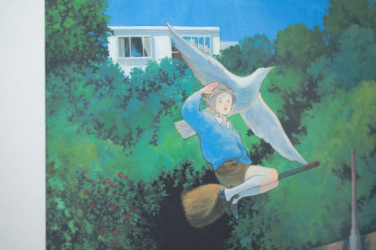 Fly