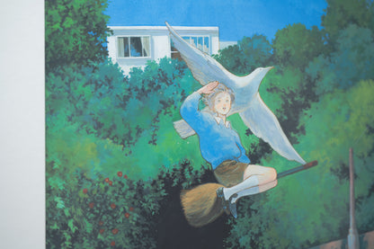 Fly