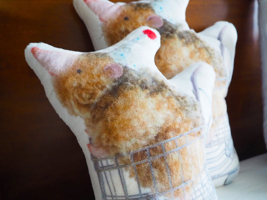 一起去派對吧.ᐟ.ᐟ ：小溝齒鼩抱枕〈2款〉